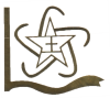 金星控股（香港）有限公司